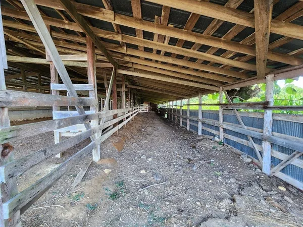 a view of a backyard of the house