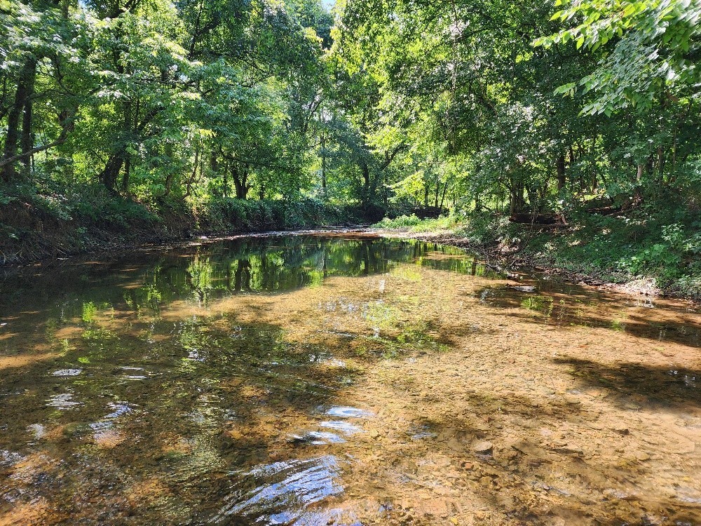 0 Taurus Farm Road Lafayette, TN 37083 - Photo 5 of 67 a view of lake