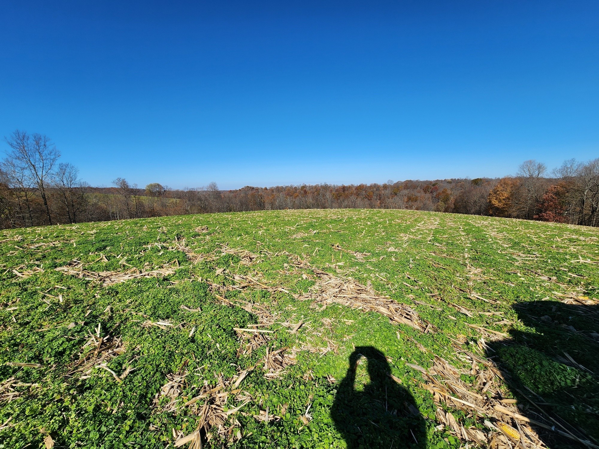 0 Taurus Farm Road Lafayette, TN 37083 - Photo 53 of 67 a view of a lush green field