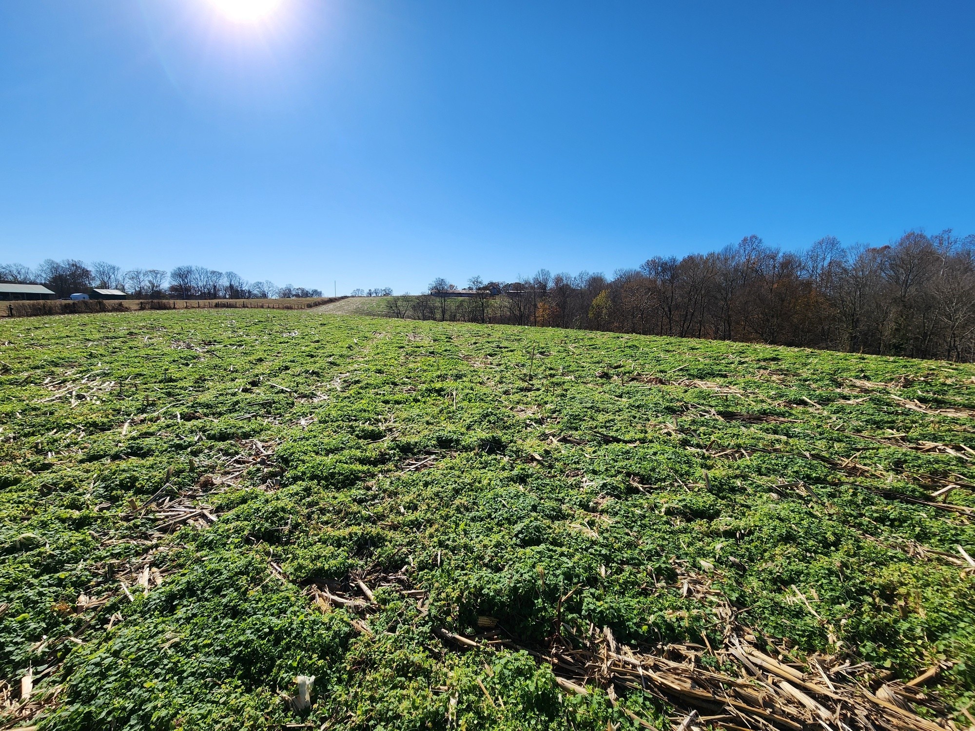 0 Taurus Farm Road Lafayette, TN 37083 - Photo 54 of 67 a view of a green field with lots of green space