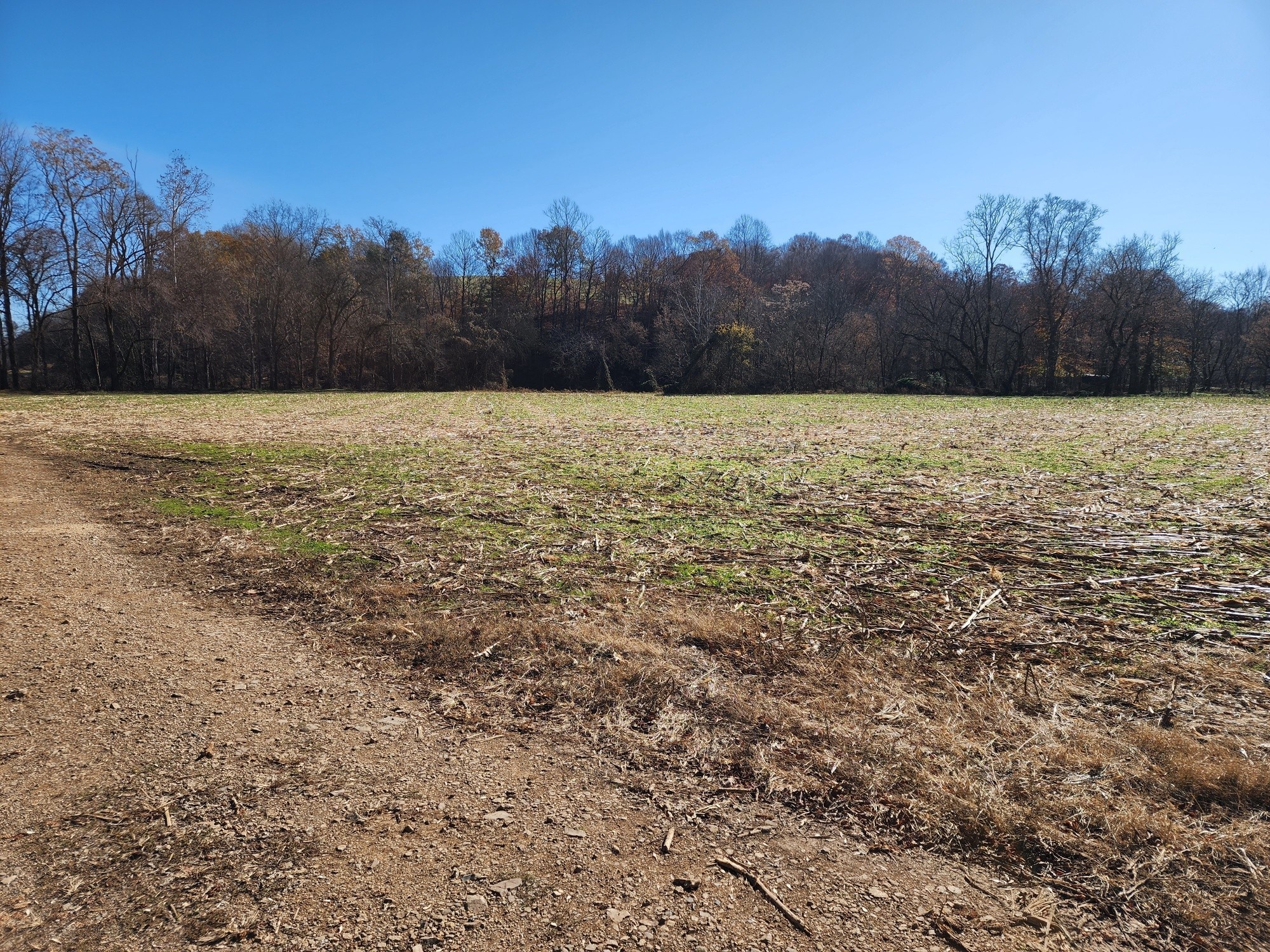 0 Taurus Farm Road Lafayette, TN 37083 - Photo 56 of 67