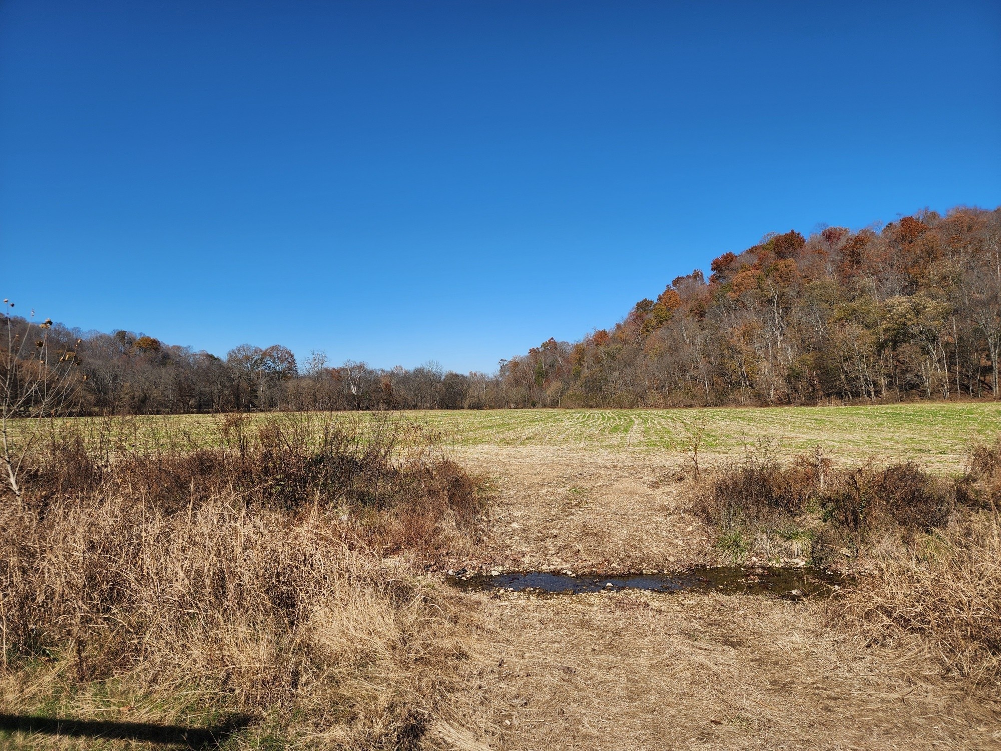 0 Taurus Farm Road Lafayette, TN 37083 - Photo 57 of 67 a view of lake with mountain in background