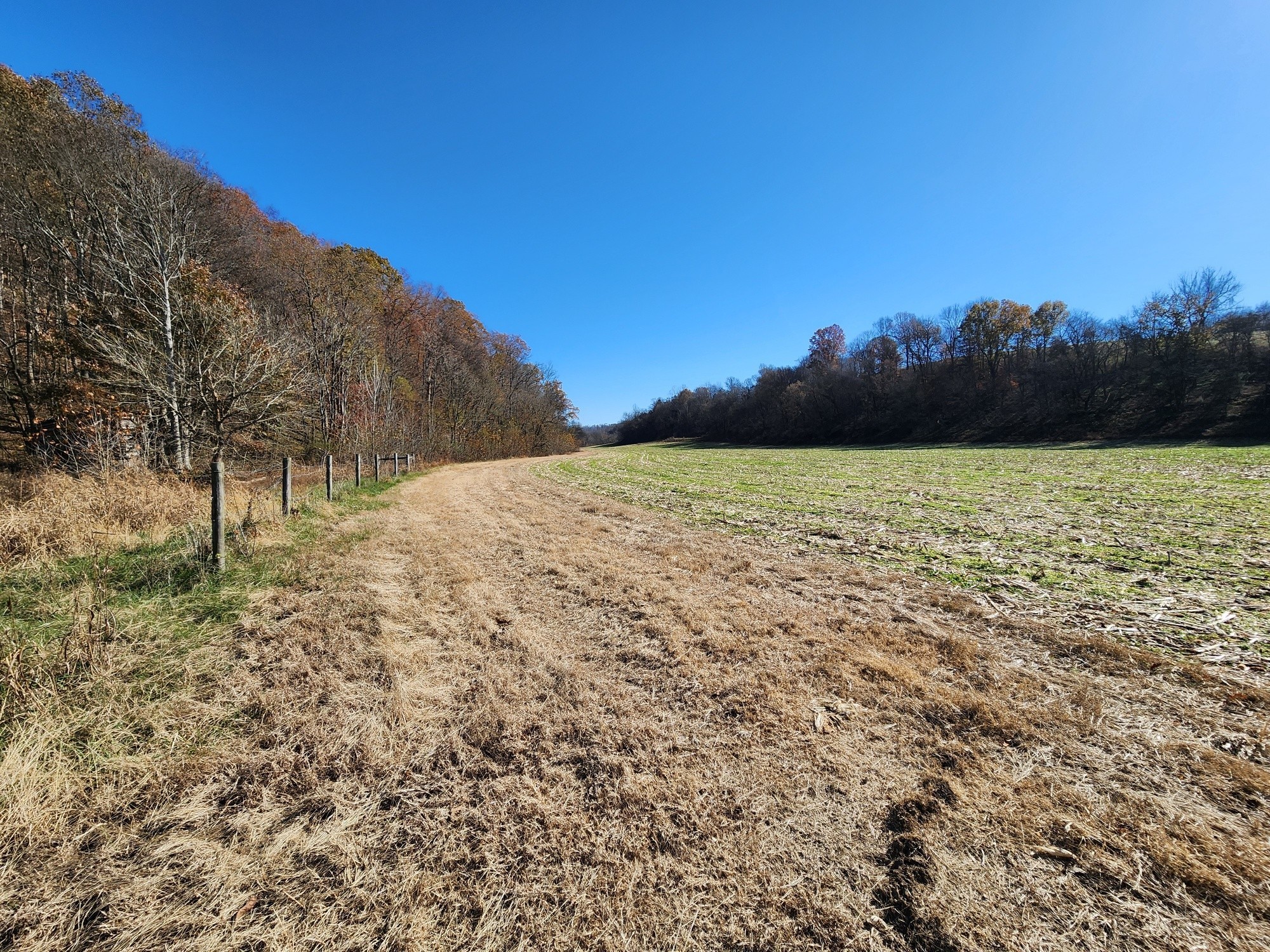 0 Taurus Farm Road Lafayette, TN 37083 - Photo 59 of 67 a view of open space with mountain in the background
