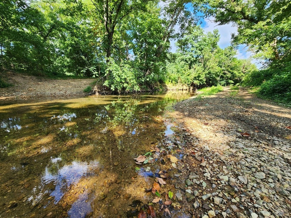 0 Taurus Farm Road Lafayette, TN 37083 - Photo 6 of 67 a view of a yard with trees