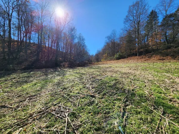$1,250,000 | 0 Taurus Farm Road, Lafayette, TN 37083