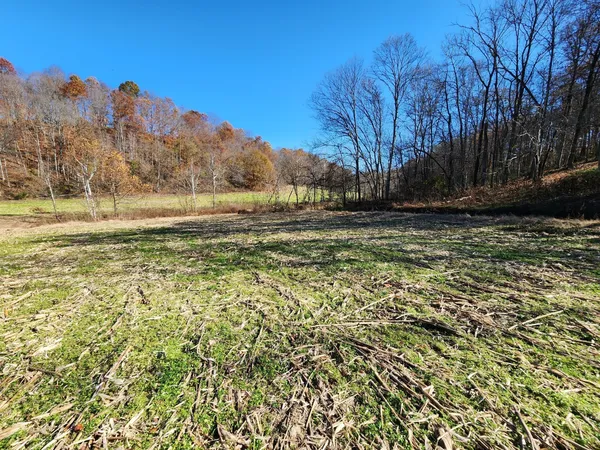 $1,250,000 | 0 Taurus Farm Road, Lafayette, TN 37083
