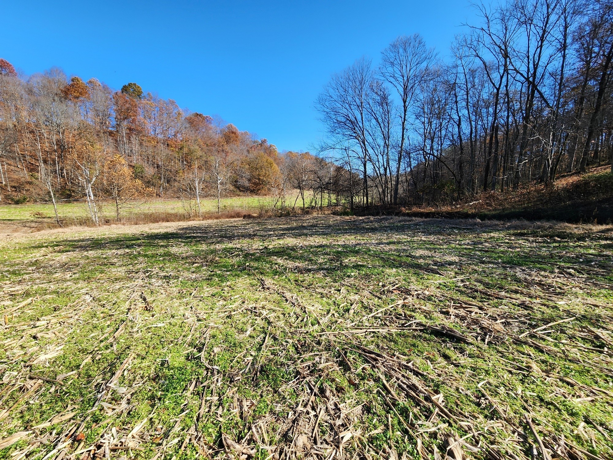0 Taurus Farm Road Lafayette, TN 37083 - Photo 65 of 67 a view of a large body of water with a house in the background