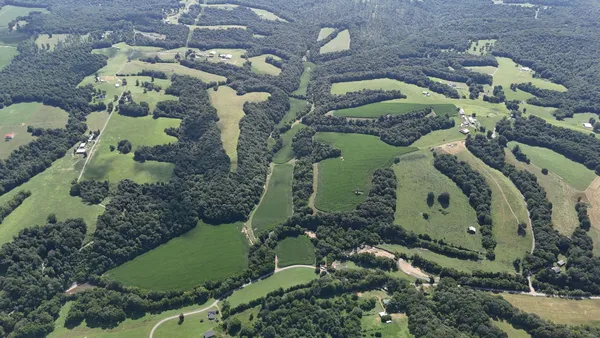 a view of a big yard with plants and large trees
