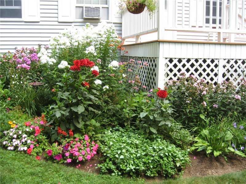 1826 Tatnic Road Wells, ME 04090 - Photo 3 of 32 Yard/Garden.
