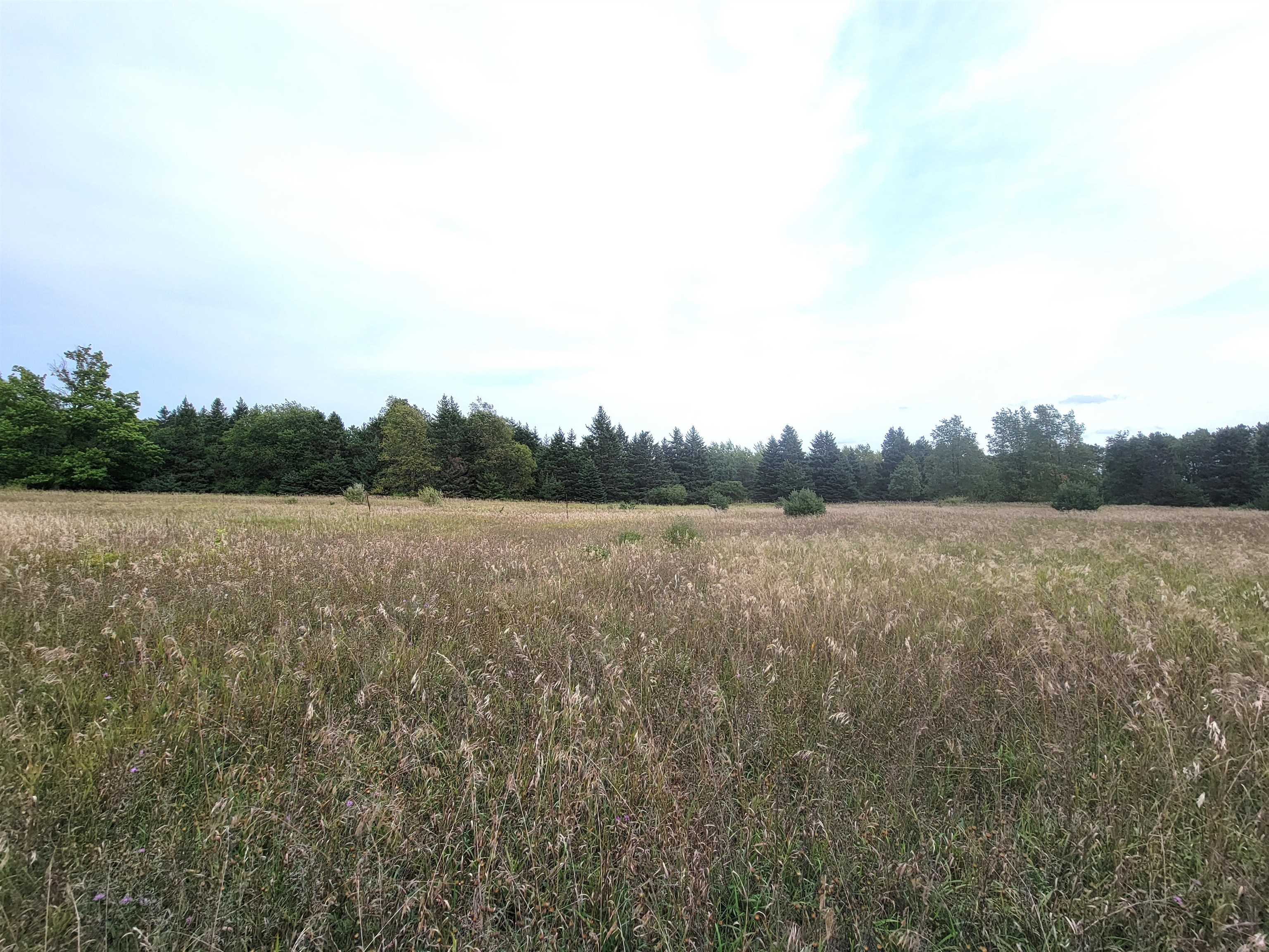 0 Plum Valley Road Northwest Alden, MI 49612 - Photo 10 of 18
