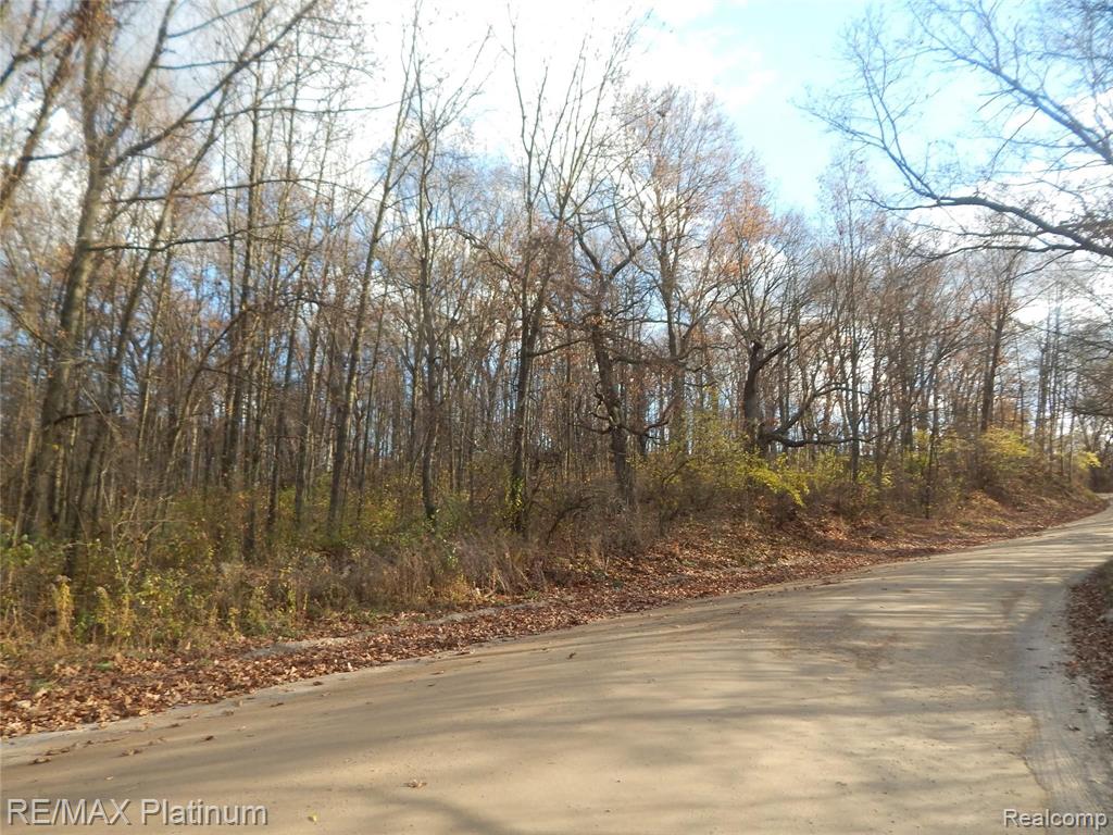 0 Bentley Lake Road Pinckney, MI 48169 - Photo 14 of 24