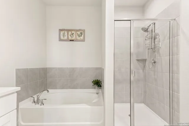 a bathroom with a bathtub and a shower