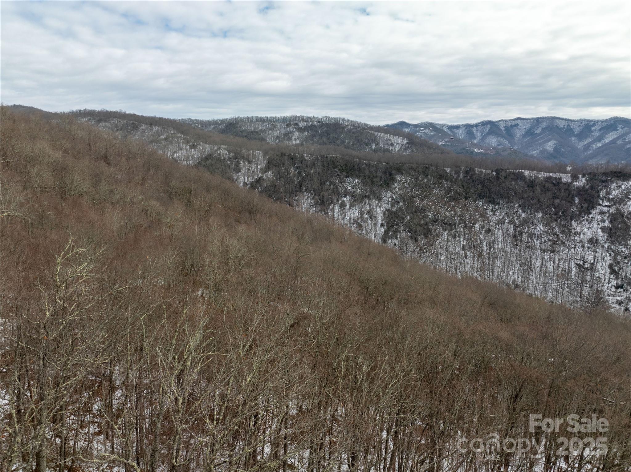 Off Alarka Road Bryson City, NC 28713 - Photo 14 of 44