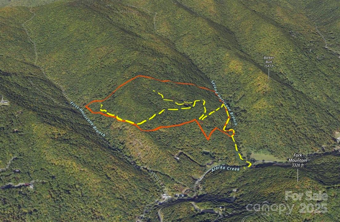 Off Alarka Road Bryson City, NC 28713 - Photo 2 of 44