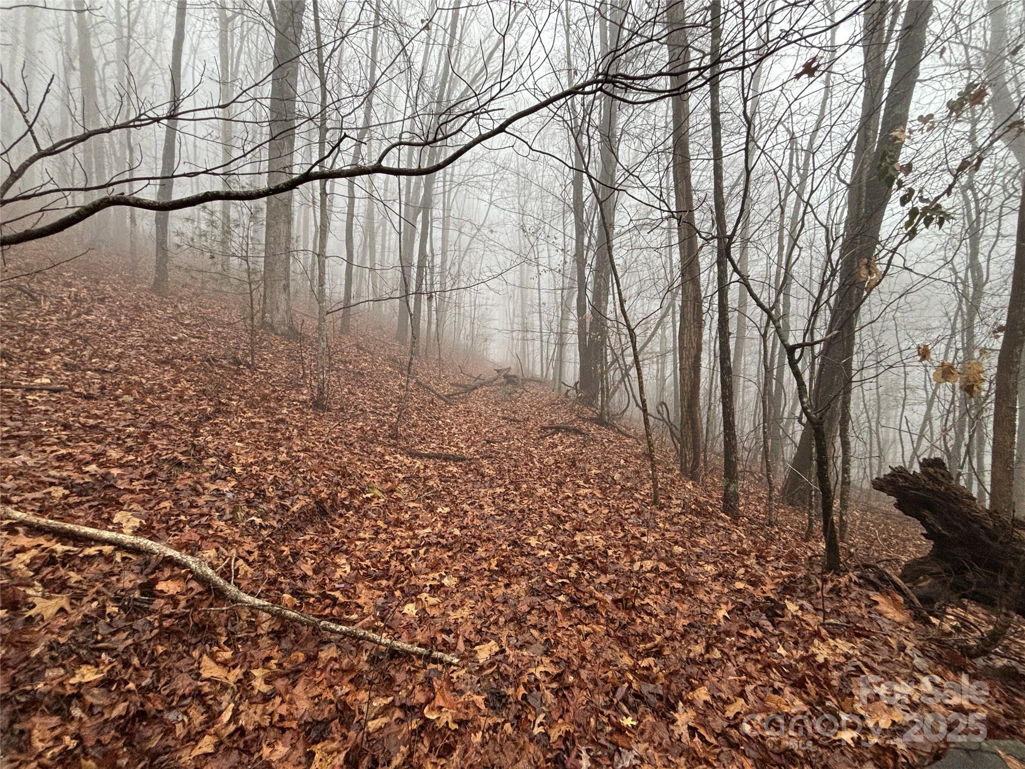 Off Alarka Road Bryson City, NC 28713 - Photo 23 of 44