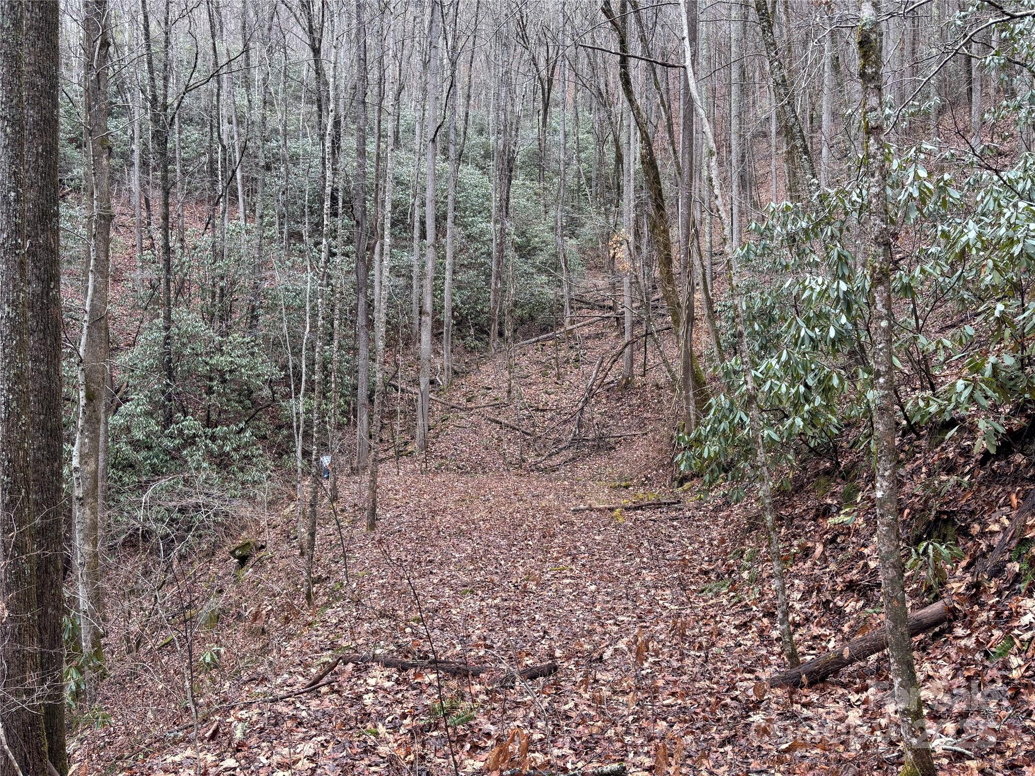 Off Alarka Road Bryson City, NC 28713 - Photo 30 of 44