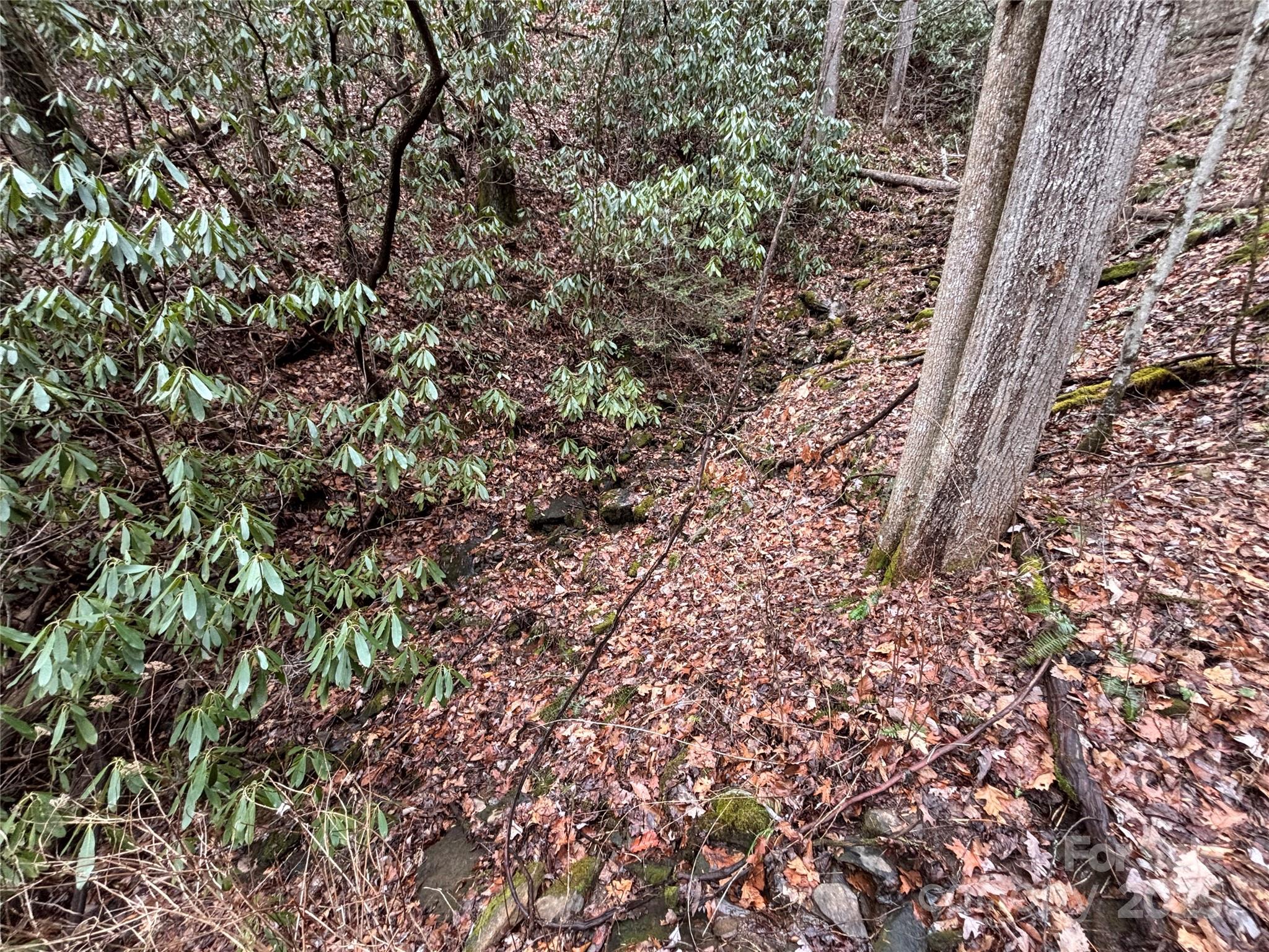 Off Alarka Road Bryson City, NC 28713 - Photo 31 of 44