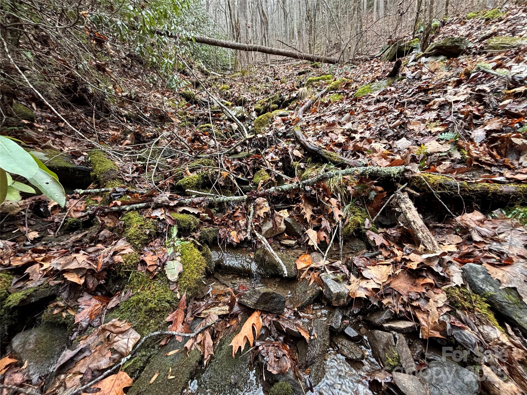 Off Alarka Road Bryson City, NC 28713 - Photo 33 of 44