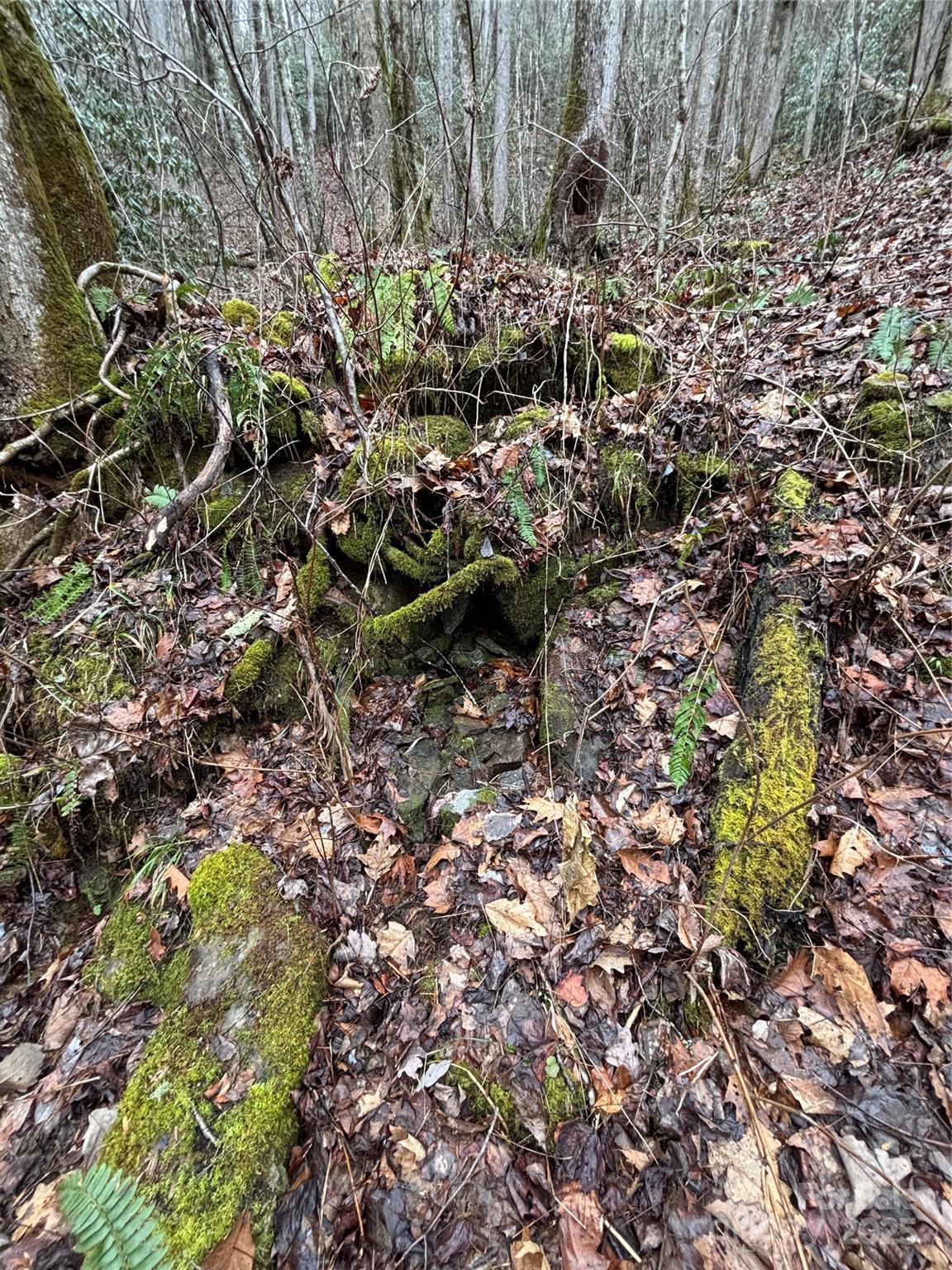 Off Alarka Road Bryson City, NC 28713 - Photo 35 of 44