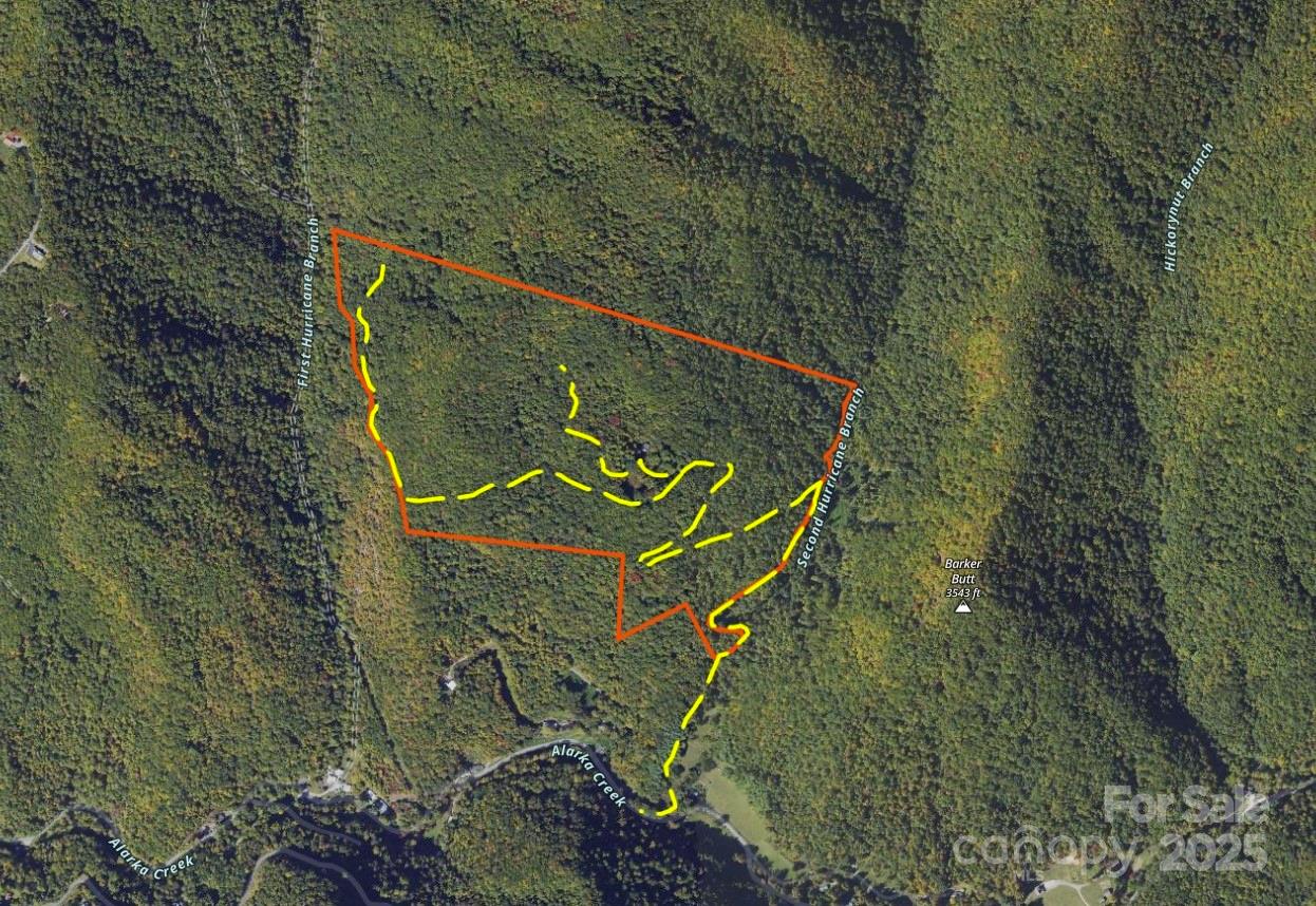 Off Alarka Road Bryson City, NC 28713 - Photo 41 of 44