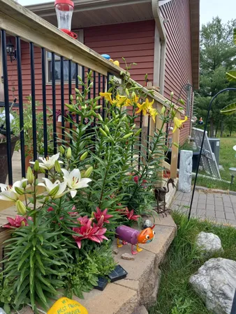 $425,000 | 28870 East Yellow River Road, Danbury, WI 54830