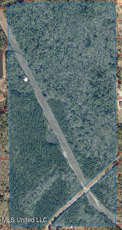 Lobouy Rd Pass Pass Christian, MS 39571 - Photo 3 of 12 ZoomAerial