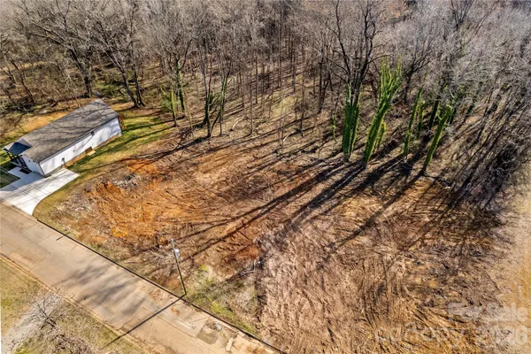 a yard with tall trees