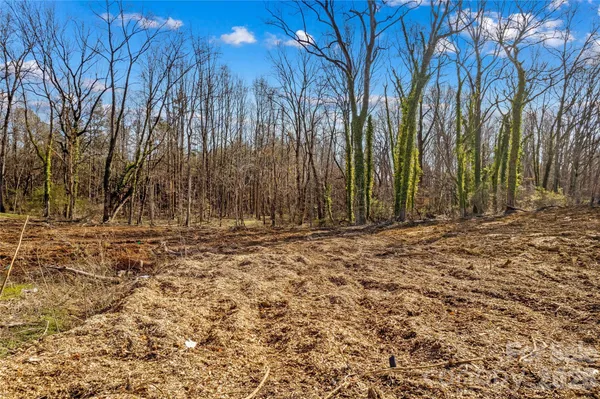 a view of outdoor space with wooden fence