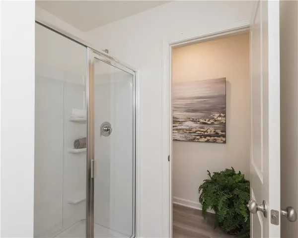 a bathroom with a shower and a plant