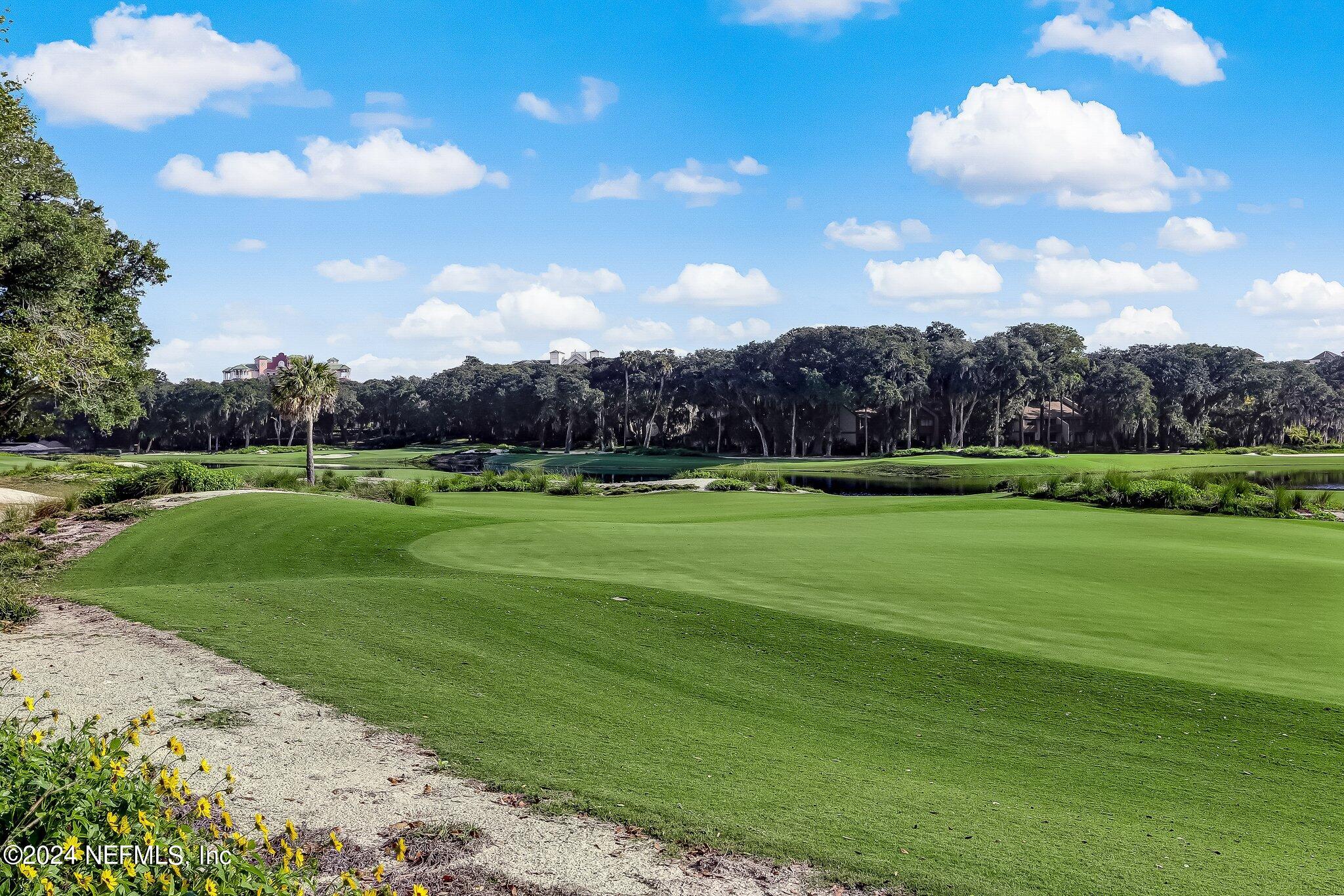 5 Sea Marsh Road Fernandina Beach, FL 32034 - Photo 63 of 71 103-web-or-mls-Omni Amelia Island_12
