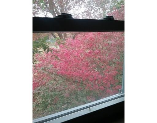 54 South Mill River Road Deerfield, MA 01373 - Photo 24 of 33