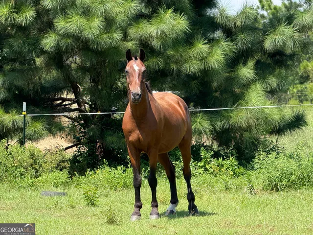 $198,500 | 718 Jamestown Road, Cordele, GA 31015