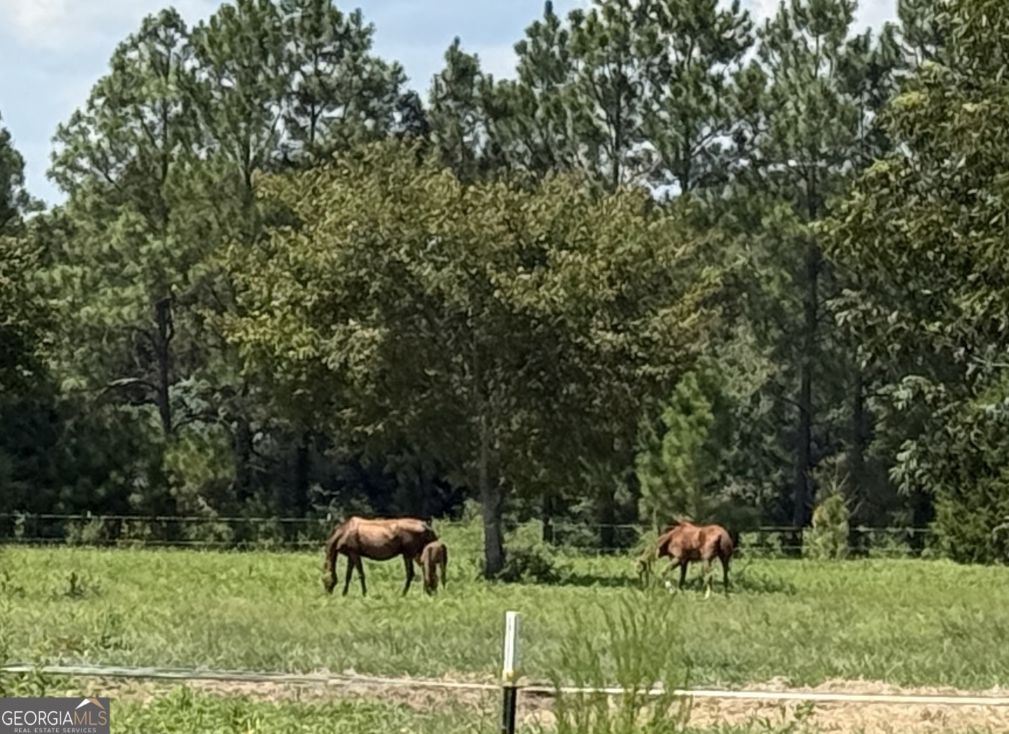 718 Jamestown Road Cordele, GA 31015 - Photo 41 of 50