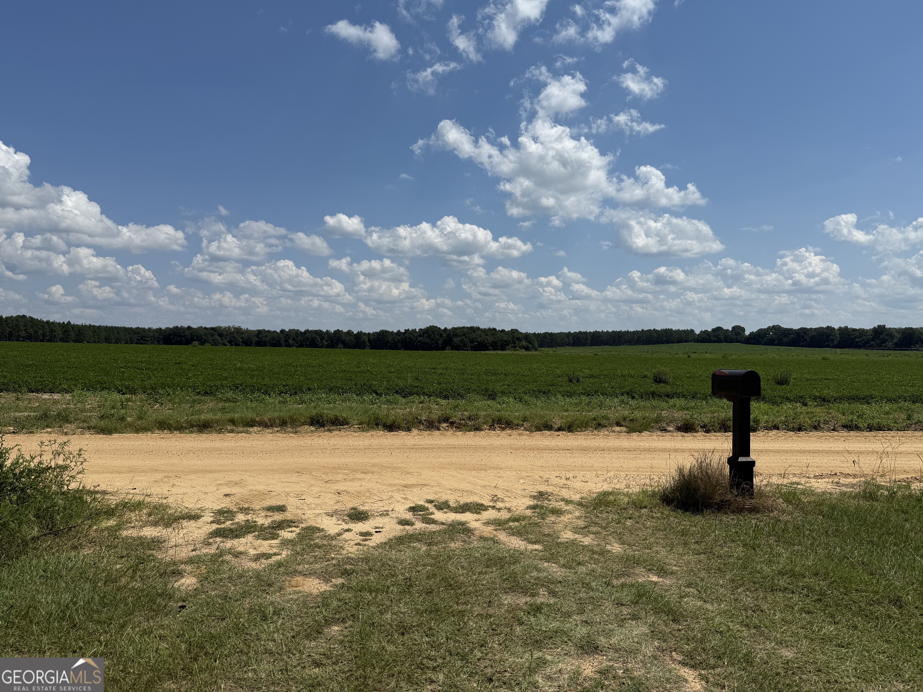 718 Jamestown Road Cordele, GA 31015 - Photo 49 of 50 ACROSS DIRT ROAD