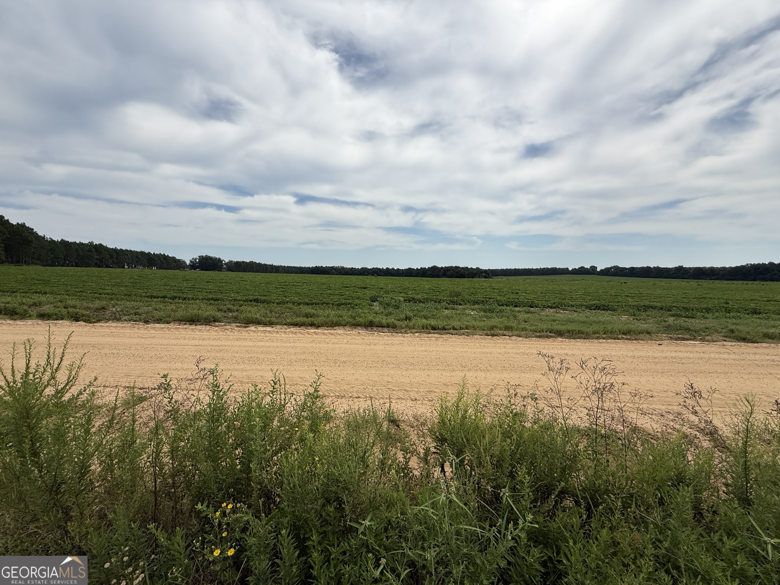 718 Jamestown Road Cordele, GA 31015 - Photo 50 of 50 ACROSS DIRT ROAD