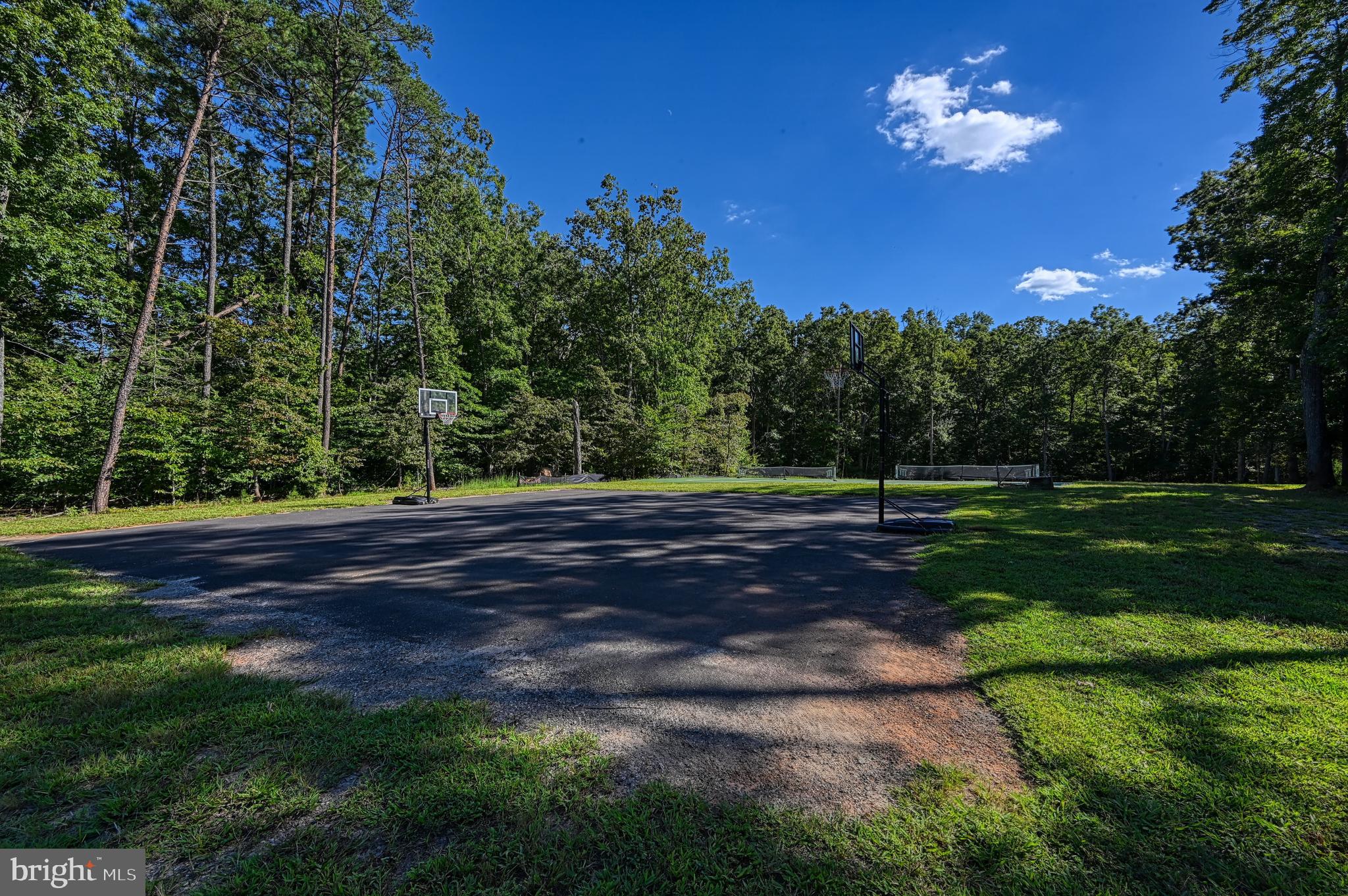 Lot 39 Sunset Loop Mineral, VA 23117 - Photo 14 of 15 a view of a yard with a tree