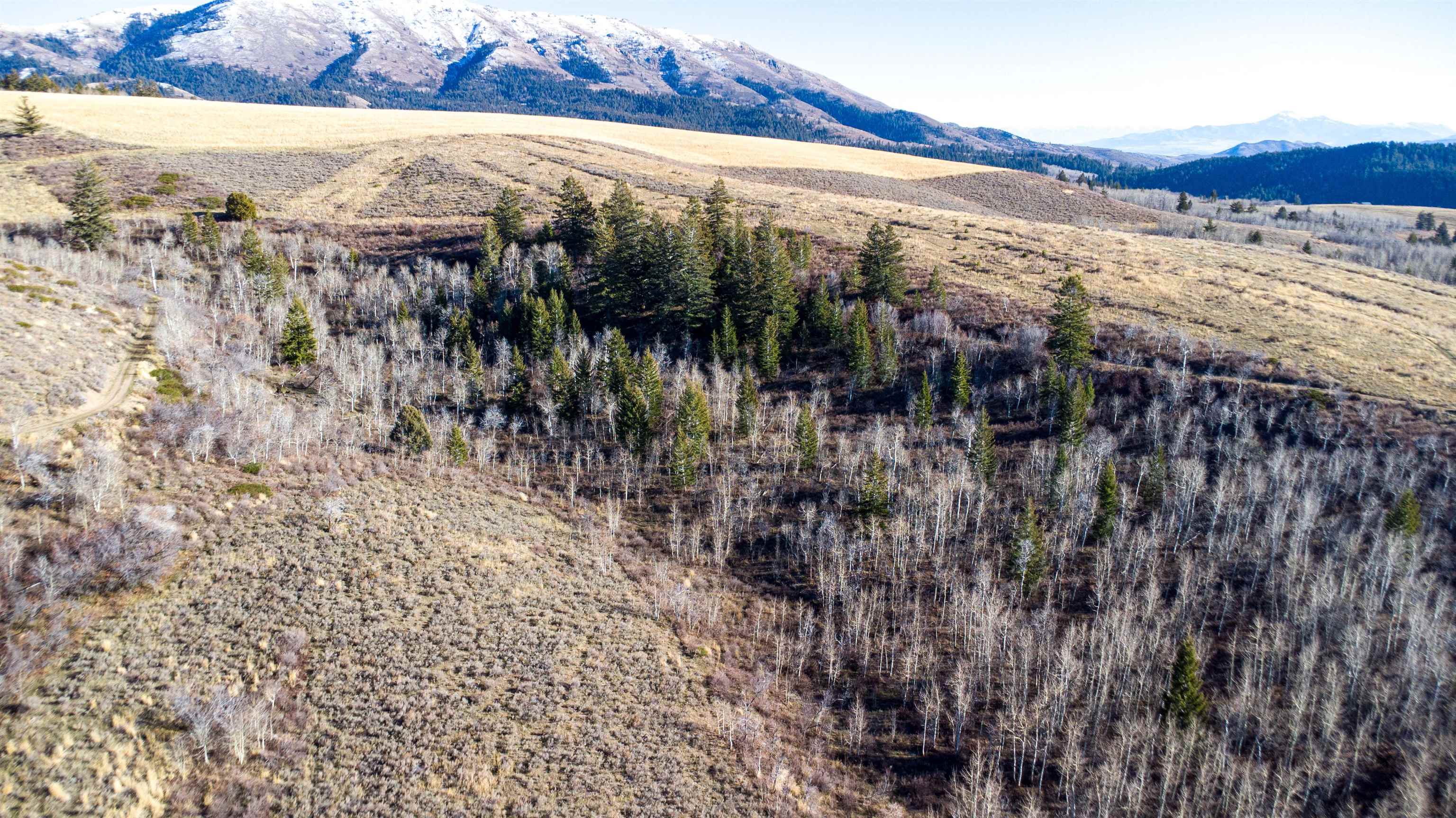 Mercer Creek Road Arimo, ID 83214 - Photo 15 of 23 Gallery Image 15