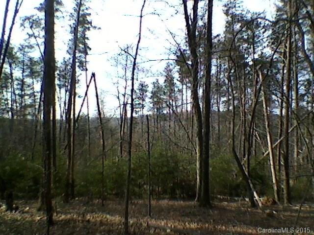 Lot 16 Renard Road, Unit 16 Tryon, NC 28782 - Photo 2 of 2 a view of forest
