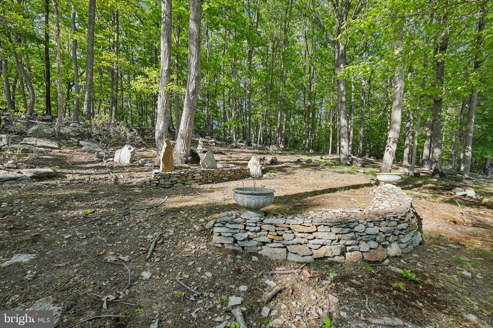 3632 Burkins Road Street, MD 21154 - Photo 86 of 106