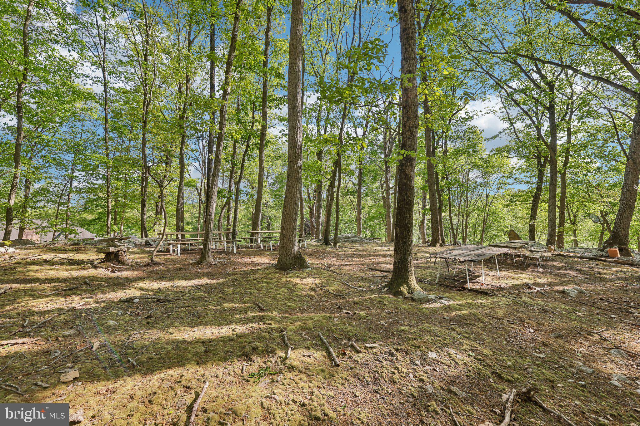 3632 Burkins Road Street, MD 21154 - Photo 87 of 106