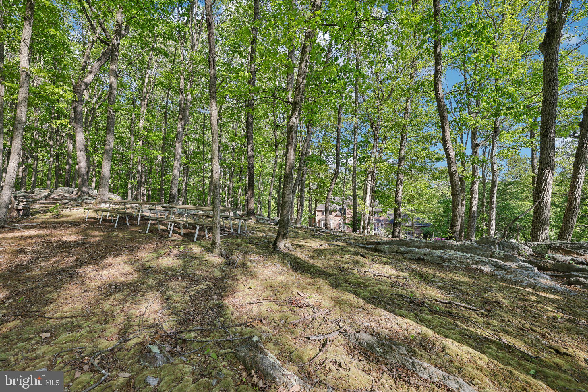 3632 Burkins Road Street, MD 21154 - Photo 88 of 106