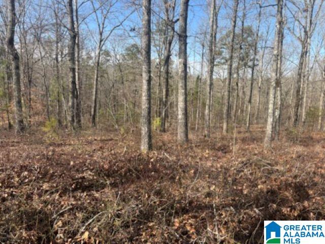 0 Laurel Way, Unit 93 Wedowee, AL 36278 - Photo 3 of 5