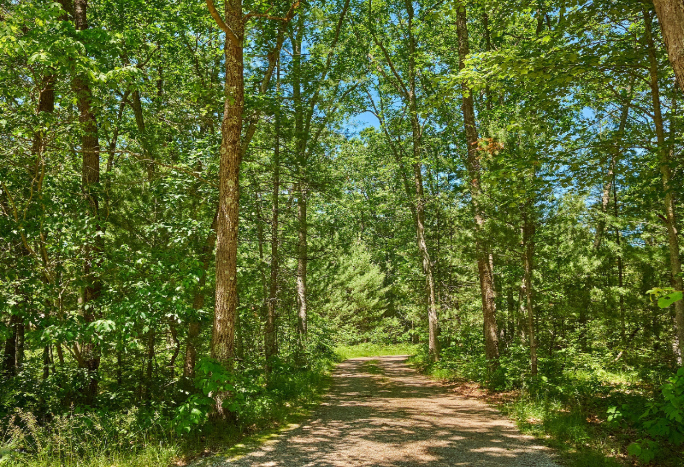 1484 Silver Creek Road Whitehall, MI 49461 - Photo 56 of 88 Silver_Creek-06