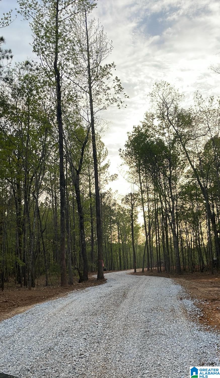 6101 Highway 145 Clanton, AL 35046 - Photo 4 of 6