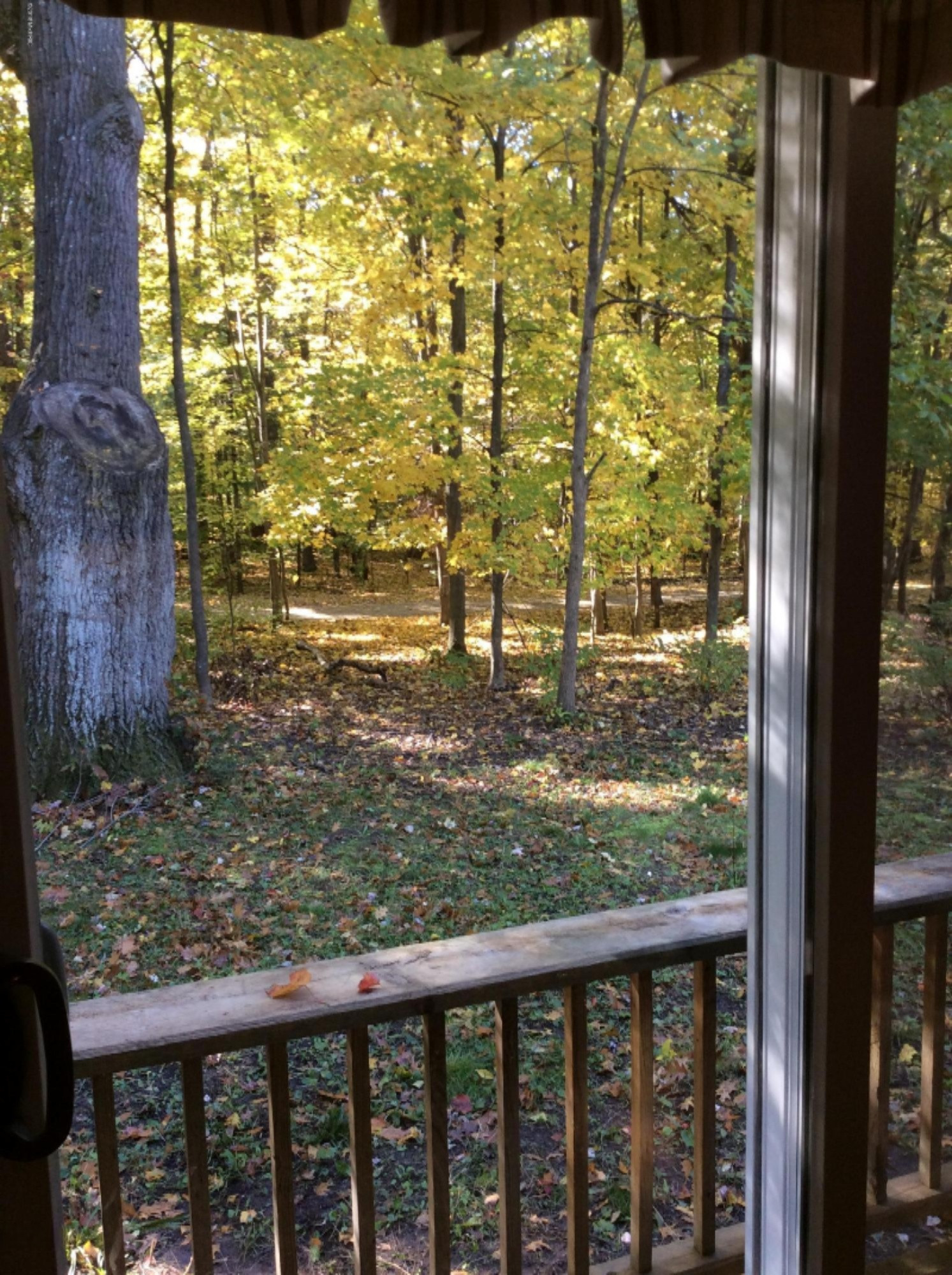 12412 Griffith Road Brethren, MI 49619 - Photo 11 of 66 View from Kitchen