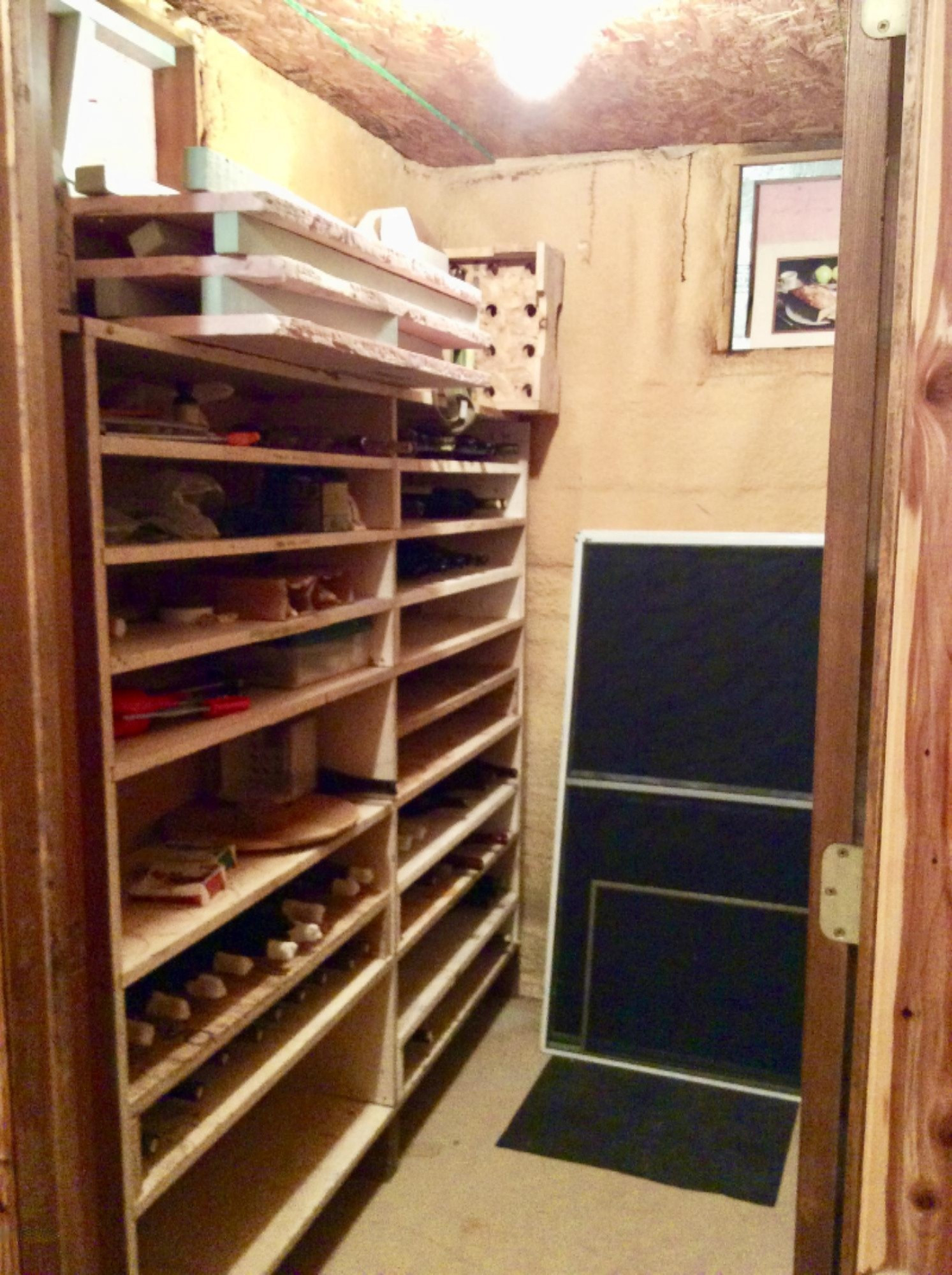 12412 Griffith Road Brethren, MI 49619 - Photo 24 of 66 Basement Wine Room