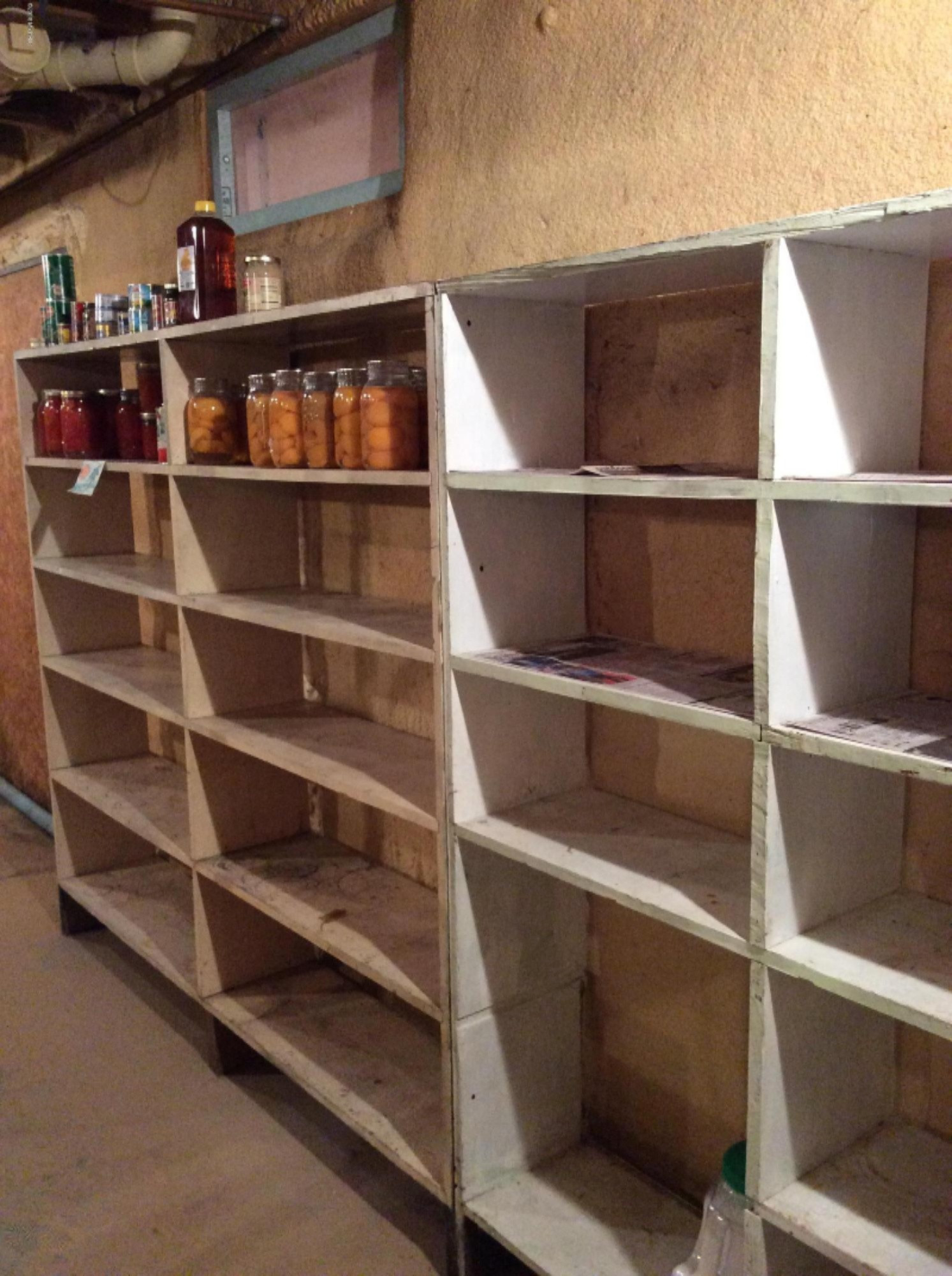 12412 Griffith Road Brethren, MI 49619 - Photo 25 of 66 Basement shelving