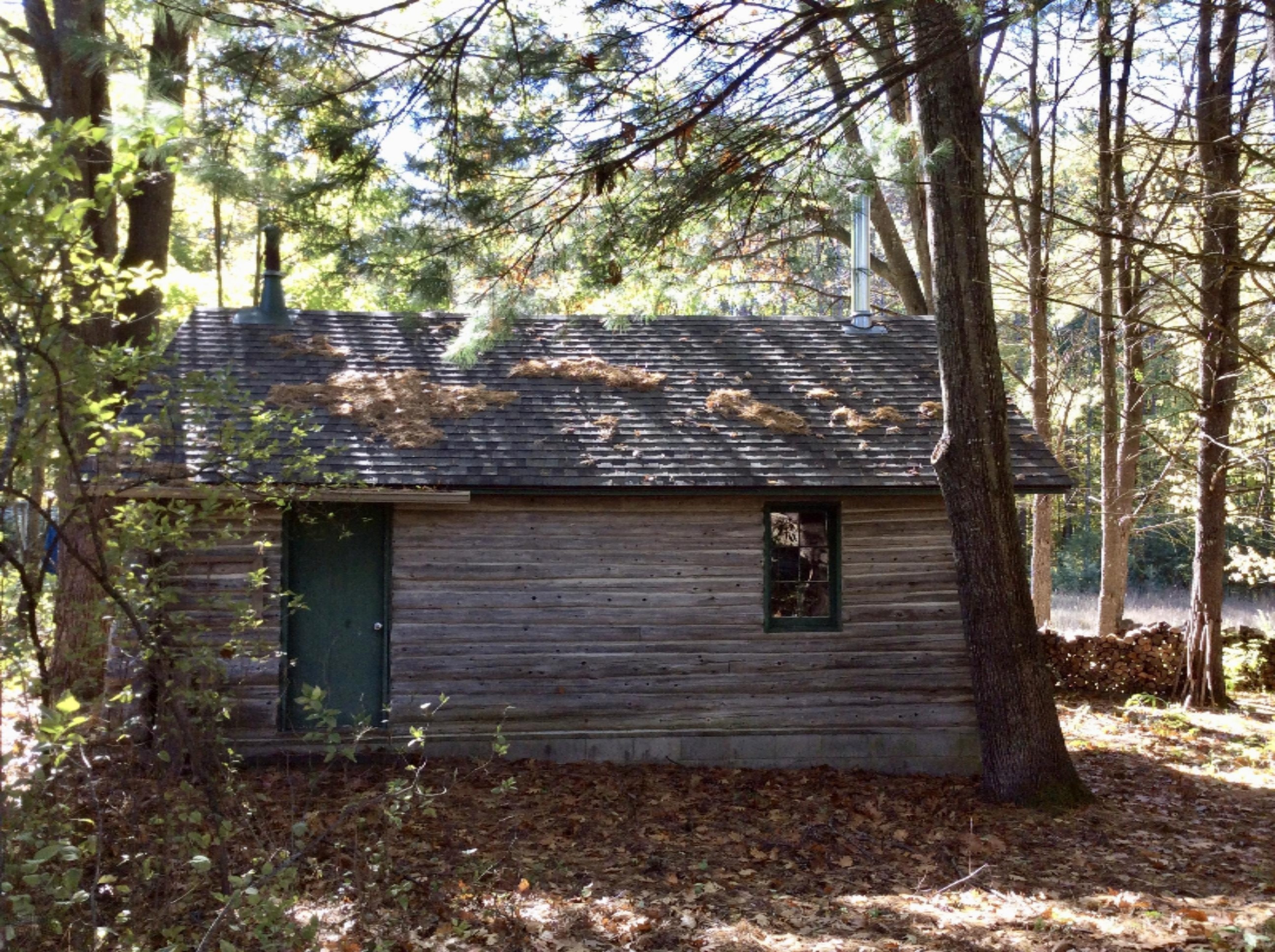 12412 Griffith Road Brethren, MI 49619 - Photo 26 of 66 Log Cabin