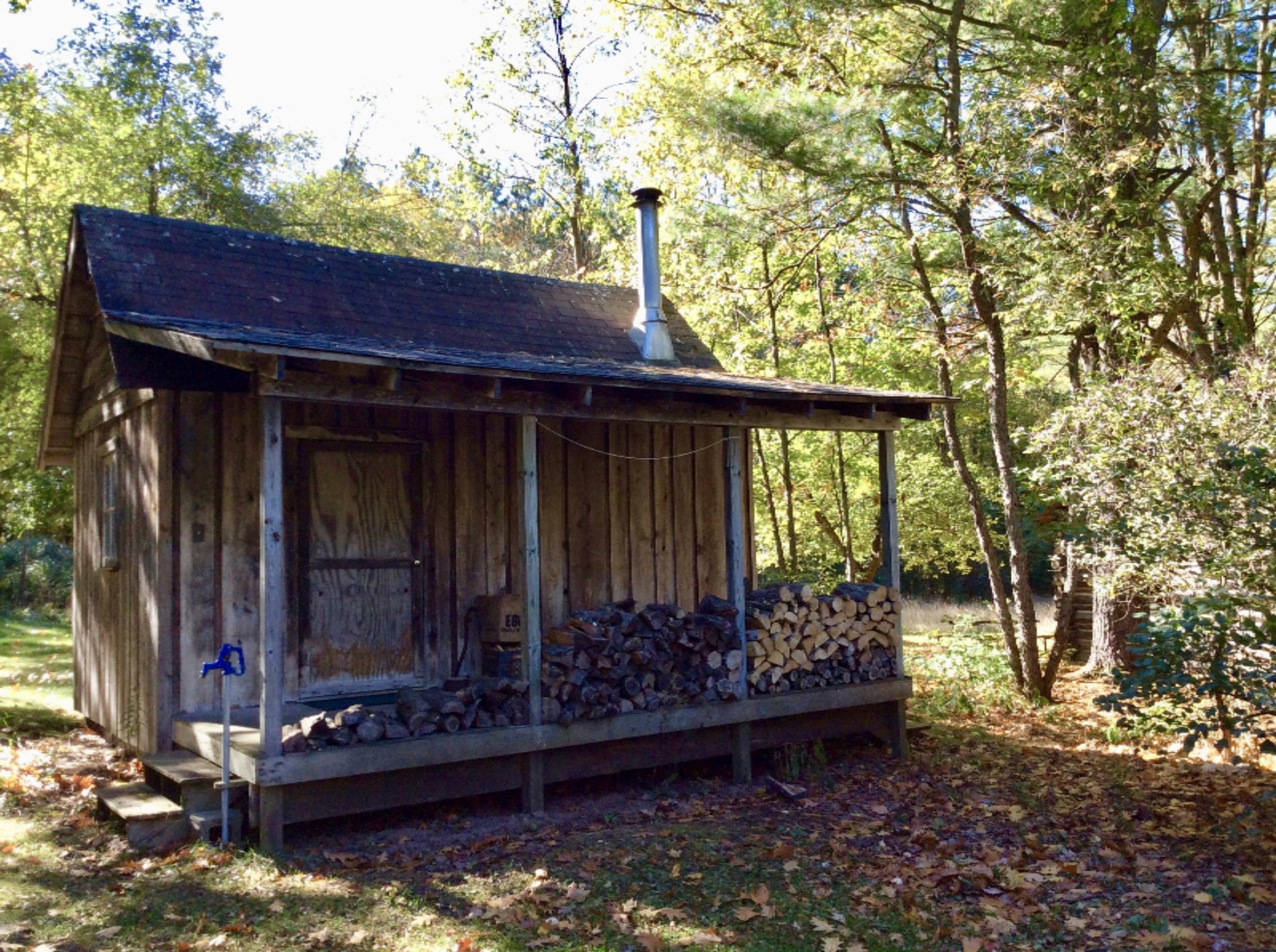 12412 Griffith Road Brethren, MI 49619 - Photo 35 of 66 Sauna
