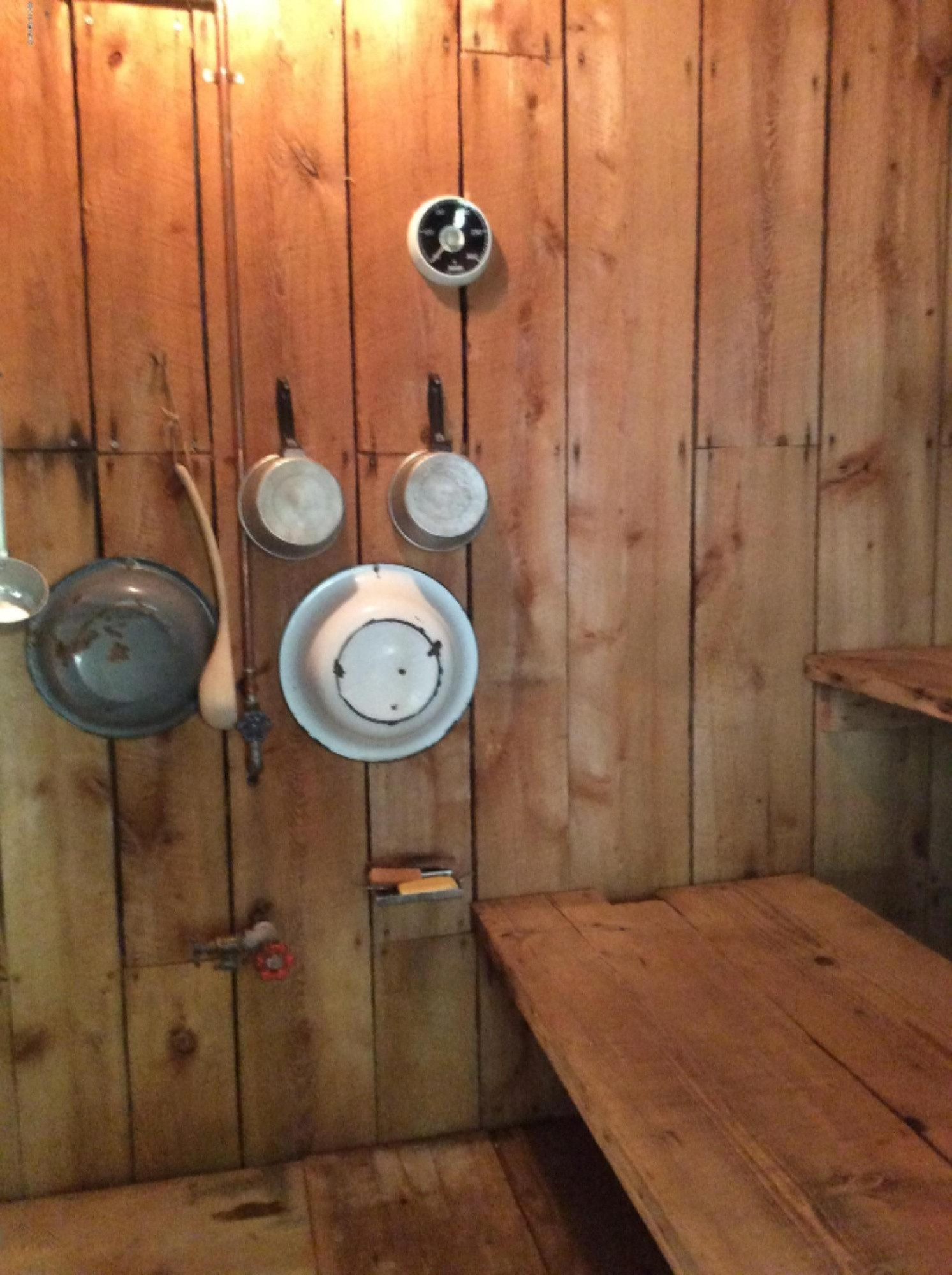12412 Griffith Road Brethren, MI 49619 - Photo 38 of 66 Sauna